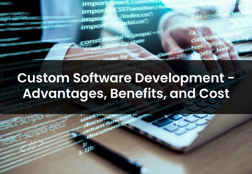 Custom Software Development